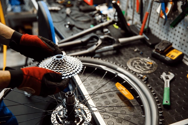 Expert Bike Tune-Ups & Safety Checks