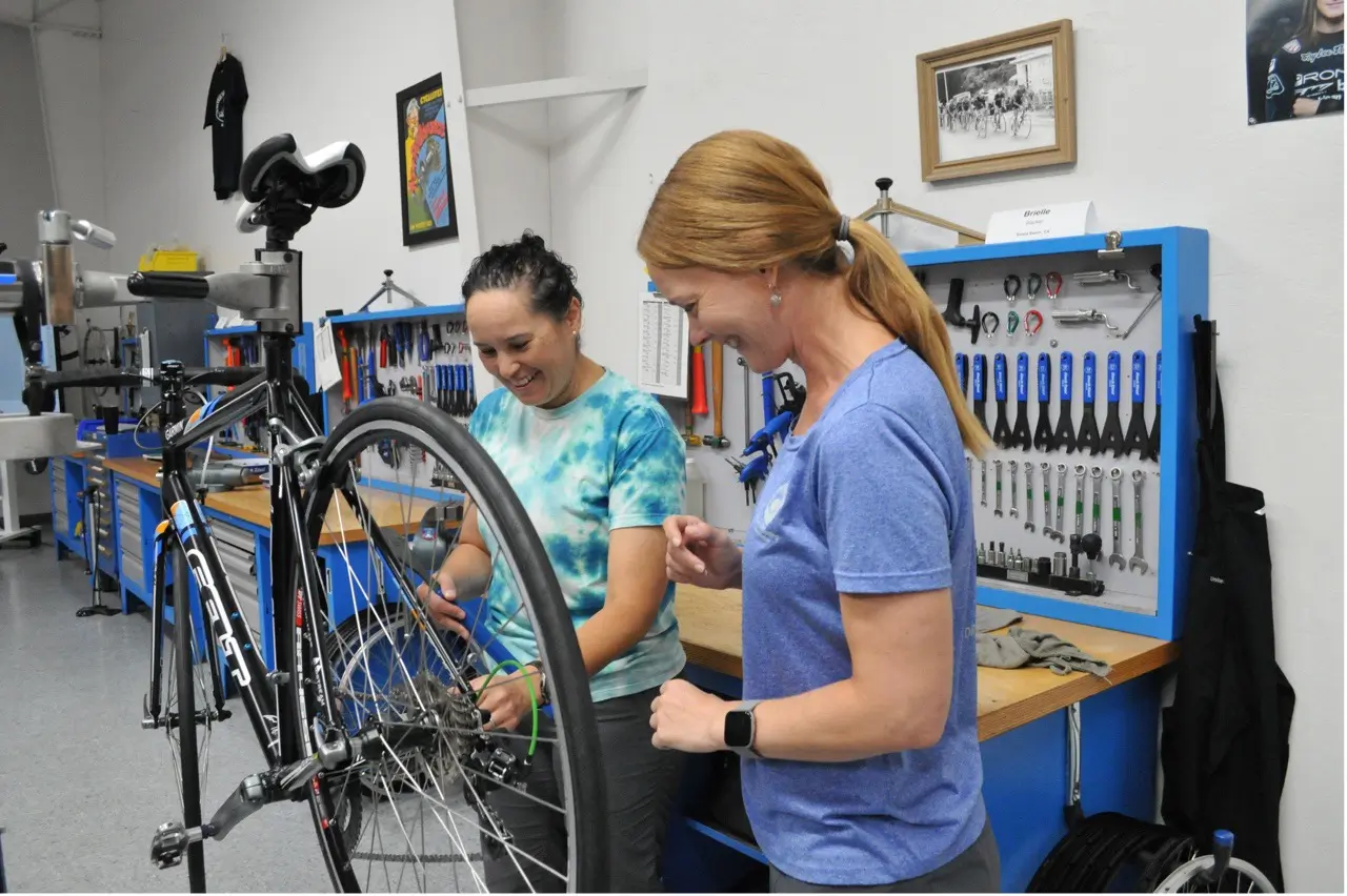 The Secret Life of Chains: A Deep Dive into Bicycle Drivetrain Longevity